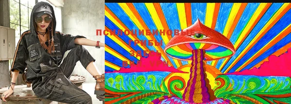 бошки Алексин