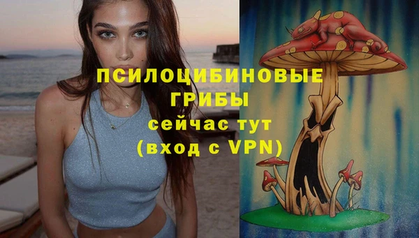 а пвп мука Алзамай