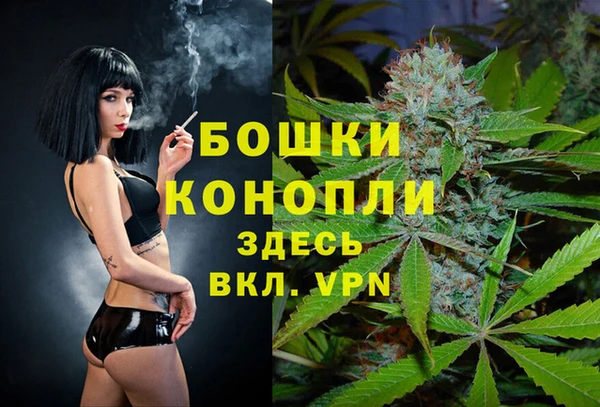 бошки Алексин