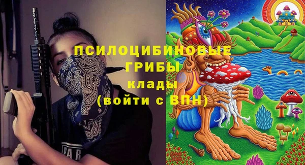 бошки Алексин