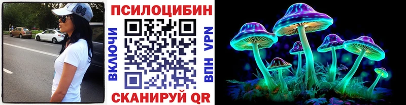 omg ONION  где можно купить   Болхов  Псилоцибиновые грибы Psilocybe 
